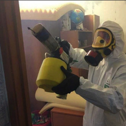 Уничтожение клопов в квартире. Андроновка